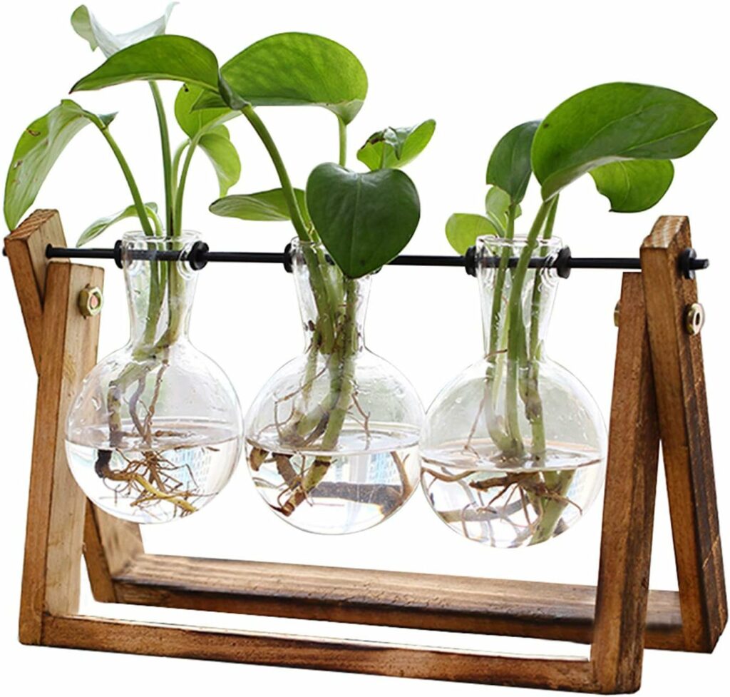 Plant Propagation Station